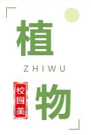 0309-133.jpg 0309-133.jpg