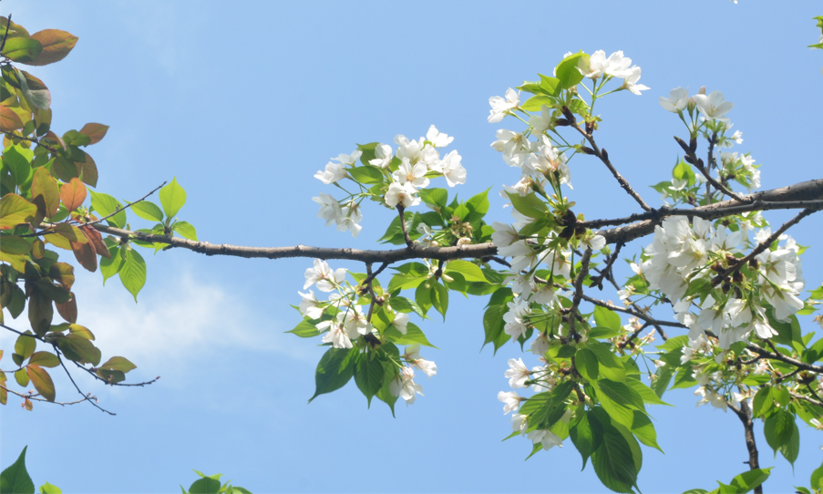 主題建筑 你好,春天里的美視師一