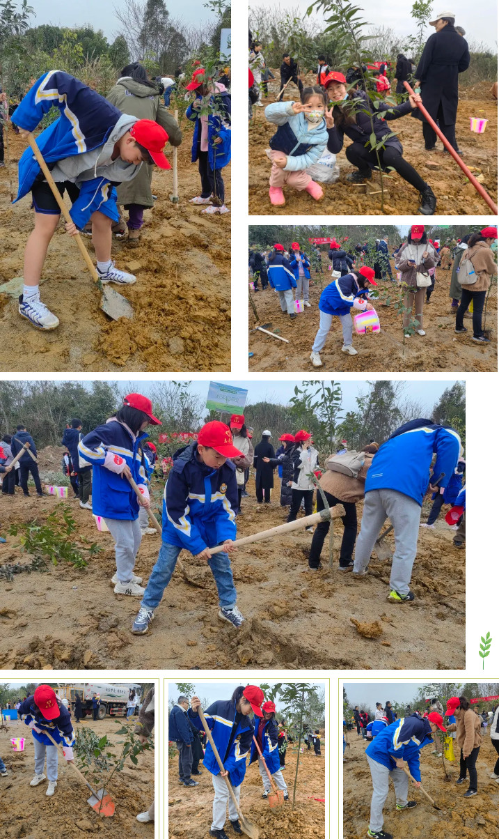 031821-8986.jpg 2025-03-18_092241.jpg