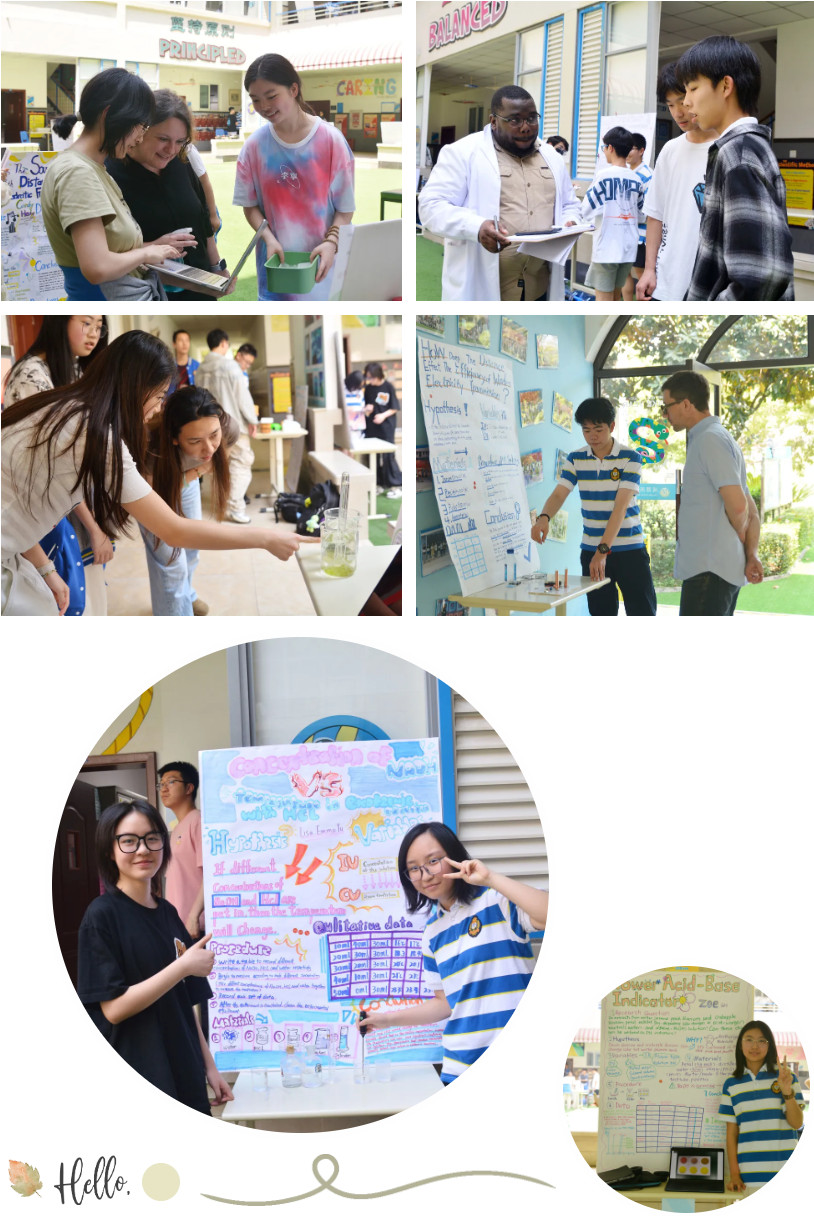 042553-1178.jpg 2025-04-25_113918.jpg