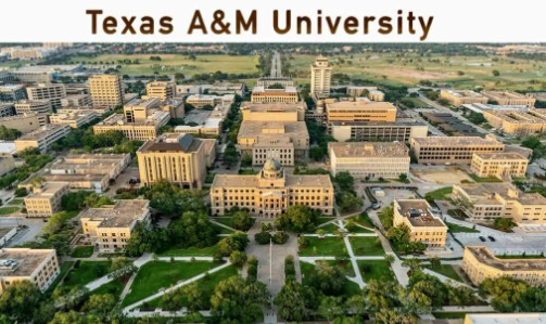 012927-8888.jpg 2026-01-29_103340.jpg